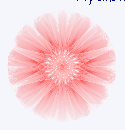 pp8496fbbc.png