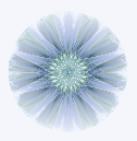 ppd555766d.png